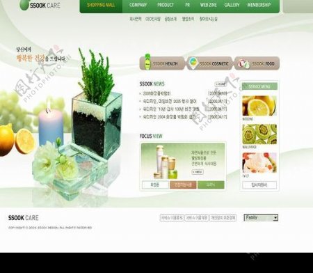 韩国公司首页模板图片