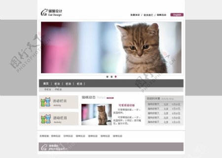 猫猫设计网站模板贰图片