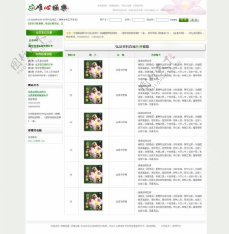 绿色图书网站设计模版图片
