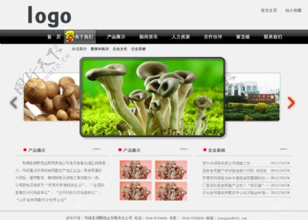 菌类蘑菇网站效果图网站首页图片
