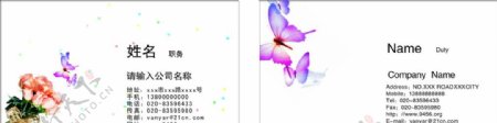 蝴蝶花朵名片图片