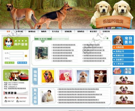 宠物网站模板图片