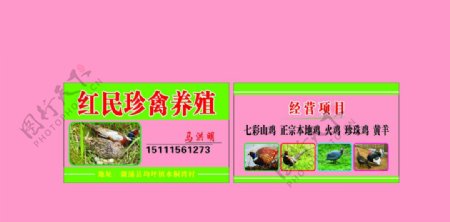 红民珍禽养殖名片图片