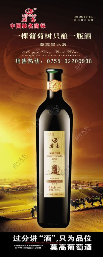黑比诺葡萄酒图片
