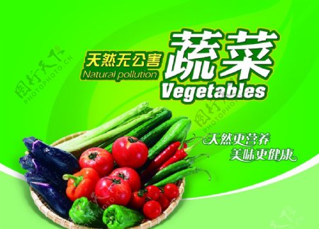 瓜果蔬菜海报图片