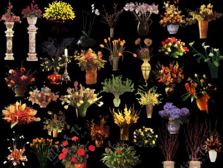 花卉盆景PSD分层素材图片