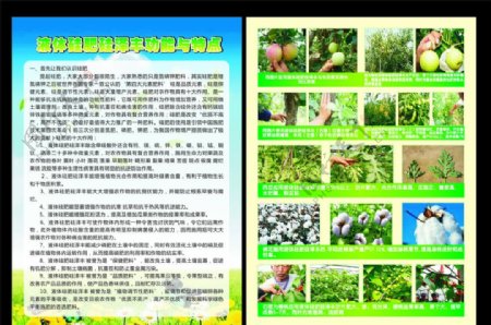 农产品彩页图片