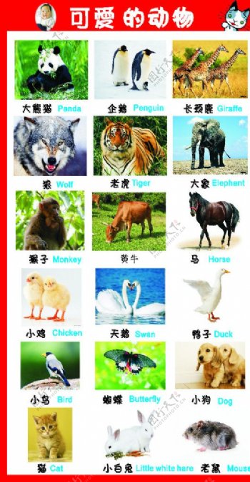 动物挂画图片