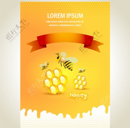 蜜蜂与蜂蜜海报设计图片