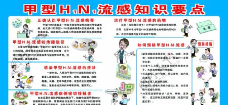 甲型H1N1流感知识要点图片