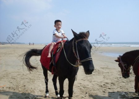 儿童骑马图片