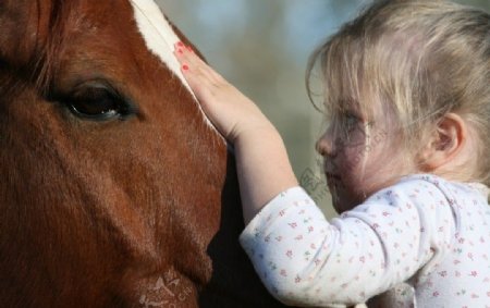 小女孩和马图片