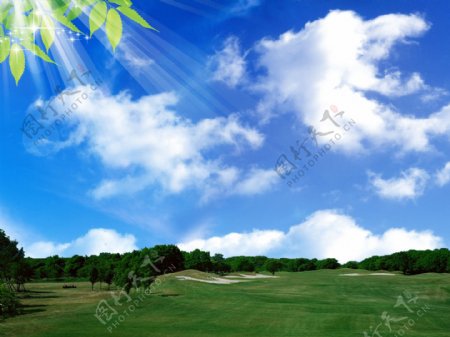 风景素材风景蓝天白云叶子图片