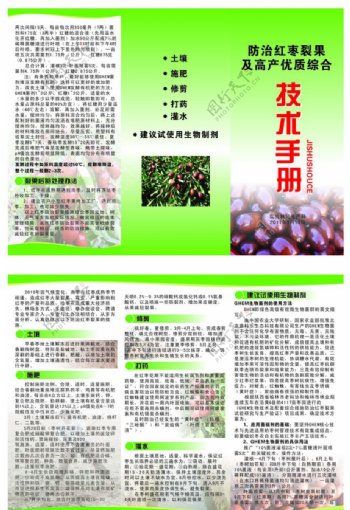 红枣技术手册图片