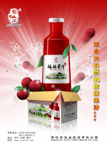 聚仙庄杨梅果汁海报图片