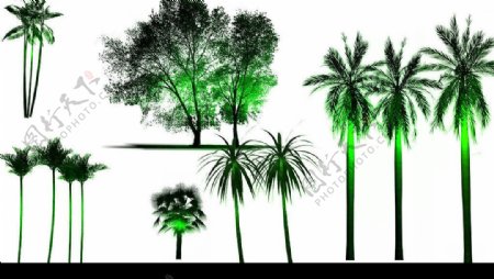 灯光效果景观树木PSD素材3图片