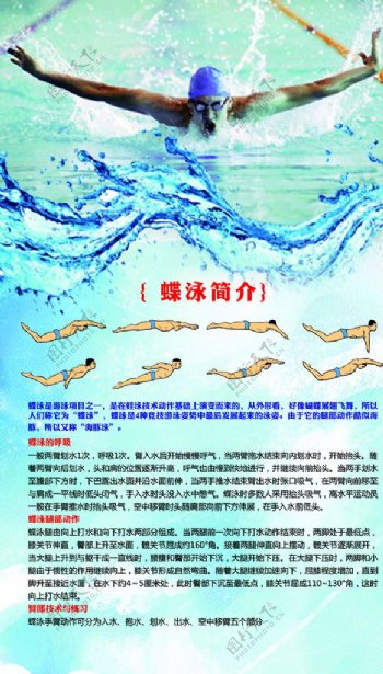 蝶泳简介海报图片