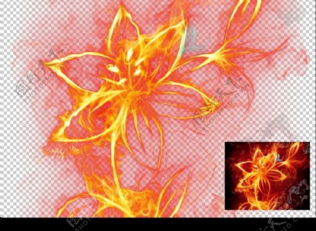高清透明分层火焰盛开的花儿图片