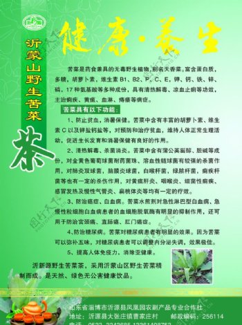 苦菜茶DM图片