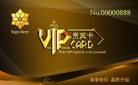 卡证VIP卡图片