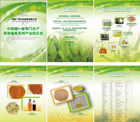 姜黄属类系列产品功效图片