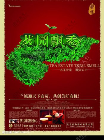 茶叶宣传单原创图片