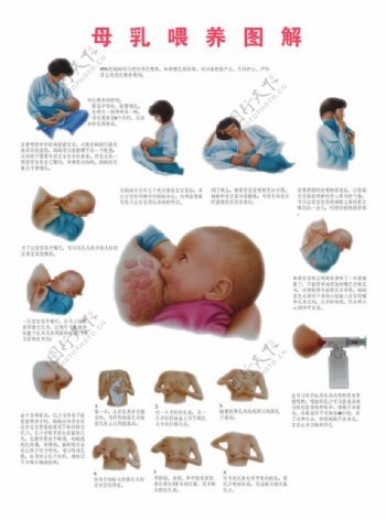 母乳喂养图图片