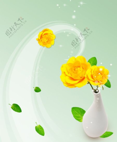 黄玫瑰友情图片