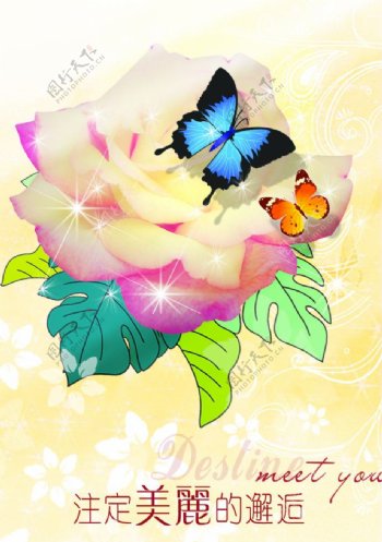 唯美浪漫蝴蝶花朵背景图片