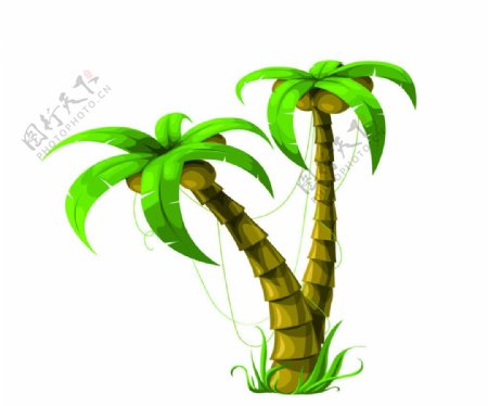 矢量椰子树图片