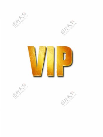 金质VIP图片