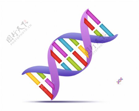 分层DNA图图片