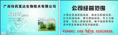 生物公司名片图片