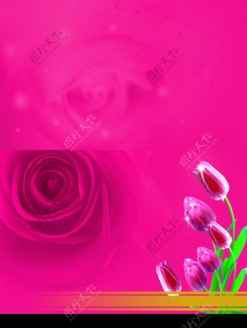 浪漫玫瑰1图片