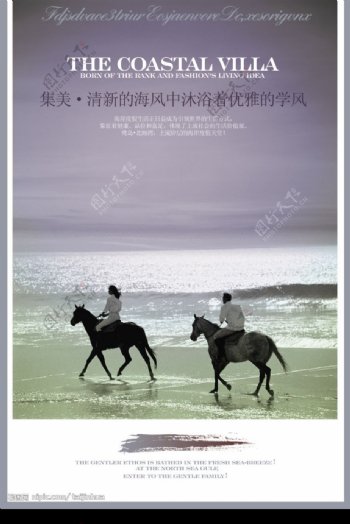 在海风中骑马漫步图片