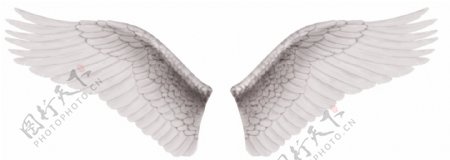 PSD高清文件天使之翼图片