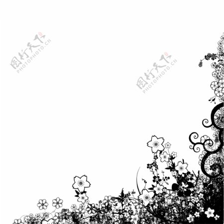 日本时尚花卉花纹花边系列分层素材图片