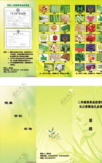 蔬菜三折页图片