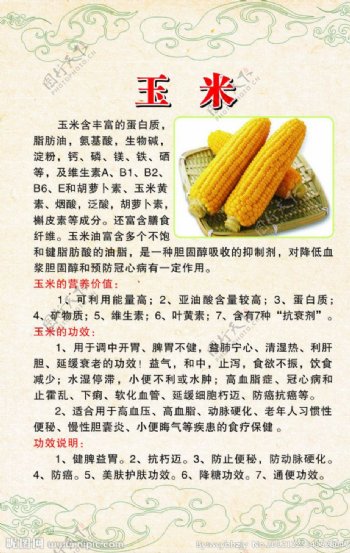 玉米的食疗与作用图片