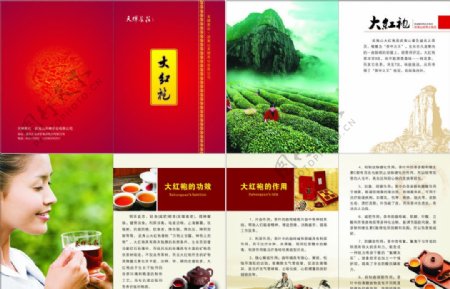 大红袍红茶茶文化画册图片