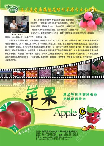 苹果合作社彩页图片