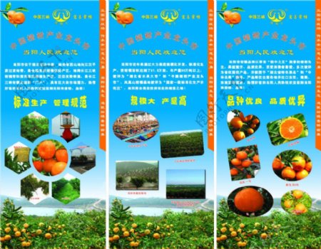 农业柑桔展板图片