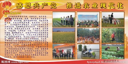 贵港市港北区庆丰镇党的十八大板报图片