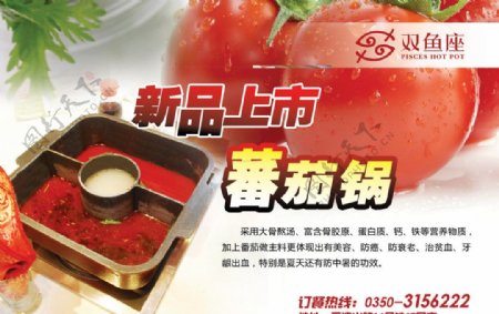 蕃茄锅海报图片