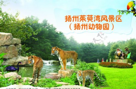 扬州动物园图片