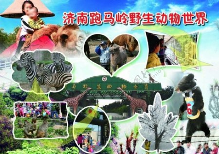 济南野生动物园图片