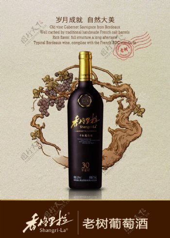 香格里拉老树葡萄酒海报图片