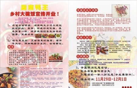 饮食湖南鸭王广告设计图片