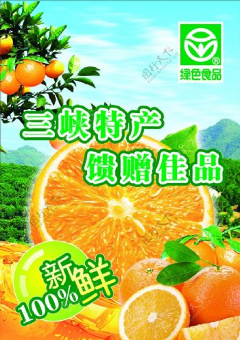 脐橙海报三峡特产图片