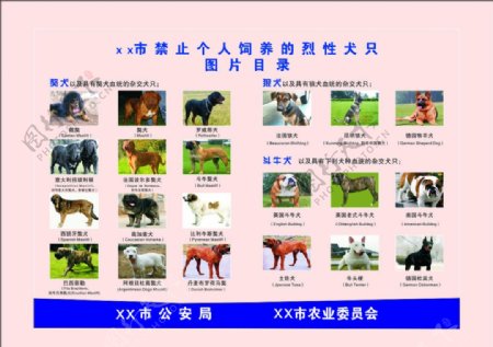 禁止饲养狗类目录模板图片
